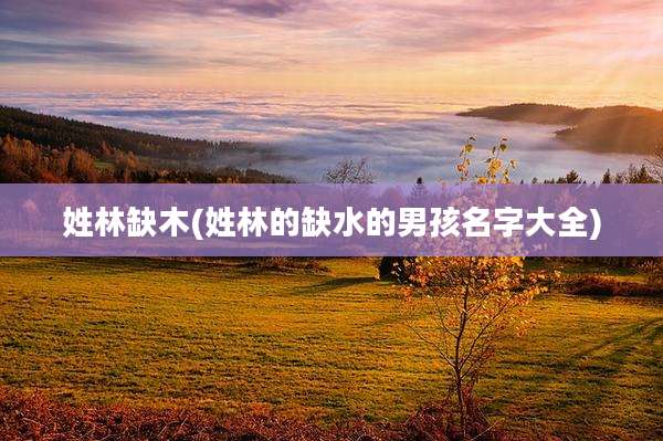 姓林缺木(姓林的缺水的男孩名字大全)