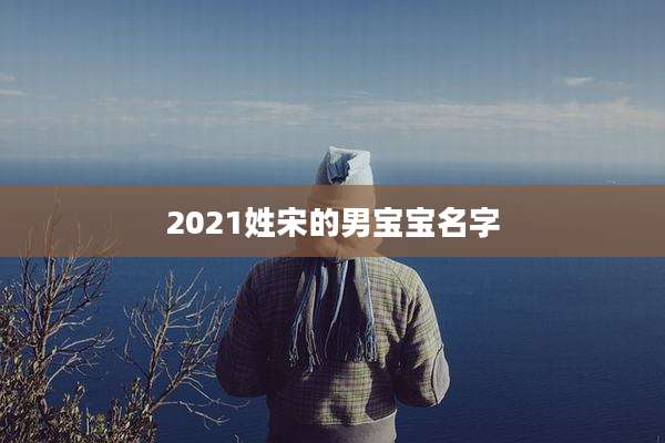 2021姓宋的男宝宝名字