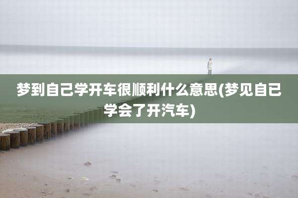 梦到自己学开车很顺利什么意思(梦见自已学会了开汽车)