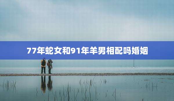 77年蛇女和91年羊男相配吗婚姻