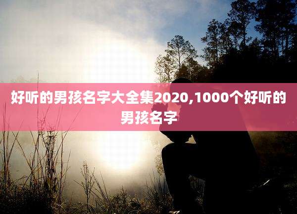 好听的男孩名字大全集2020,1000个好听的男孩名字