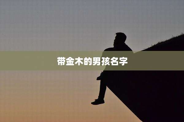 带金木的男孩名字