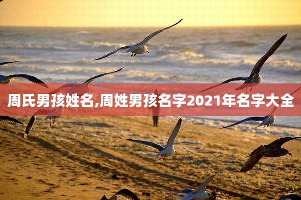 周氏男孩姓名,周姓男孩名字2021年名字大全