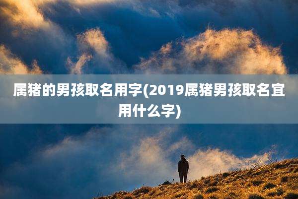 属猪的男孩取名用字(2019属猪男孩取名宜用什么字)