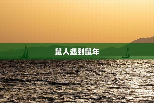 鼠人遇到鼠年