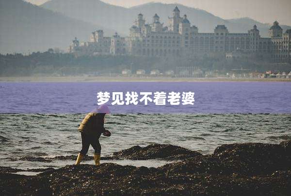 梦见找不着老婆