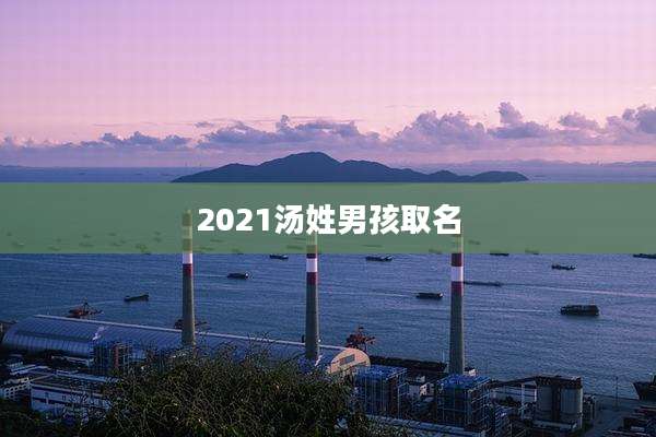 2021汤姓男孩取名