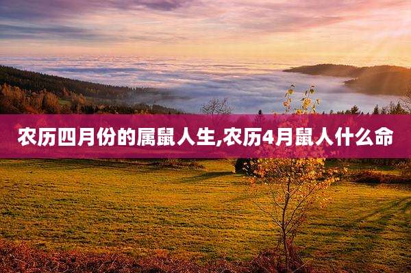 农历四月份的属鼠人生,农历4月鼠人什么命