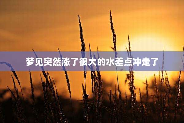 梦见突然涨了很大的水差点冲走了