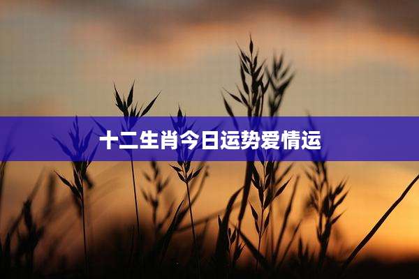 十二生肖今日运势爱情运