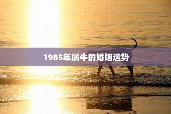 1985年属牛的婚姻运势