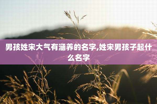 男孩姓宋大气有涵养的名字,姓宋男孩子起什么名字