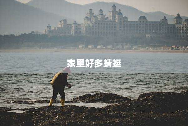 家里好多蜻蜓