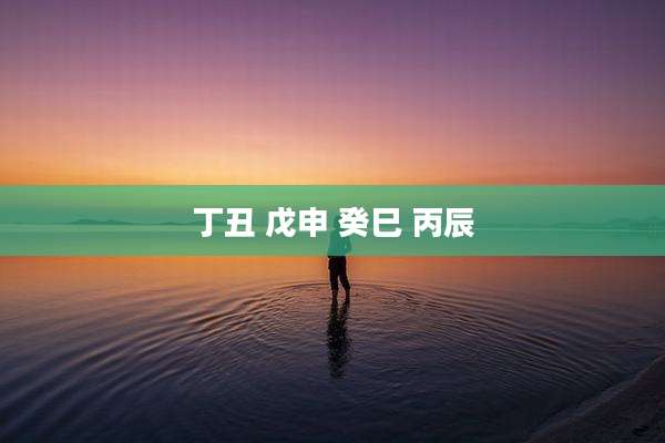 丁丑 戊申 癸巳 丙辰