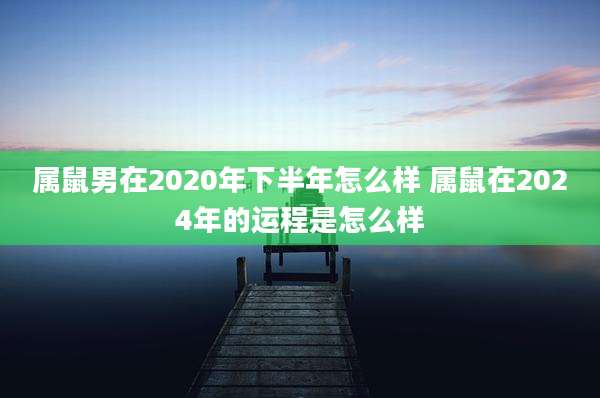 属鼠男在2020年下半年怎么样 属鼠在2024年的运程是怎么样