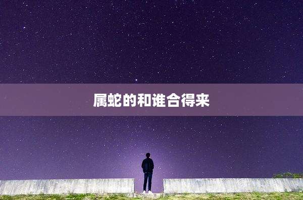 属蛇的和谁合得来