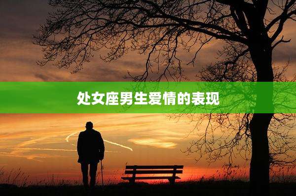 处女座男生爱情的表现