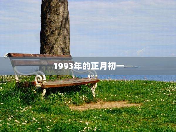 1993年的正月初一