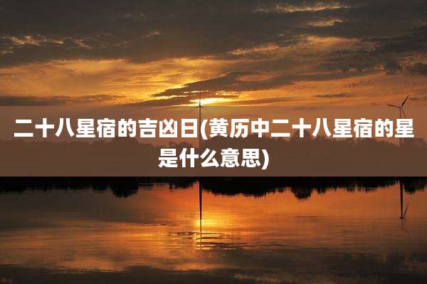 二十八星宿的吉凶日(黄历中二十八星宿的星是什么意思)