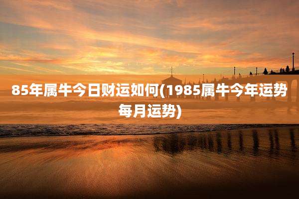 85年属牛今日财运如何(1985属牛今年运势每月运势)