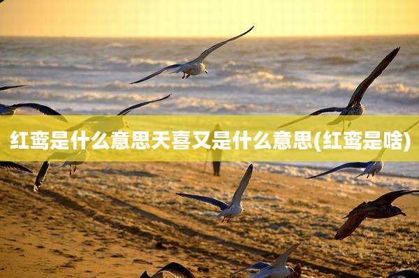 红鸾是什么意思天喜又是什么意思(红鸾是啥)