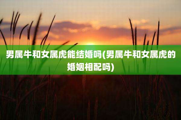 男属牛和女属虎能结婚吗(男属牛和女属虎的婚姻相配吗)
