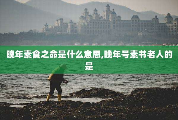 晚年素食之命是什么意思,晚年号素书老人的是