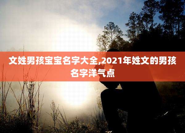 文姓男孩宝宝名字大全,2021年姓文的男孩名字洋气点