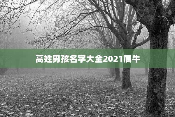 高姓男孩名字大全2021属牛