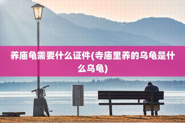 养庙龟需要什么证件(寺庙里养的乌龟是什么乌龟)