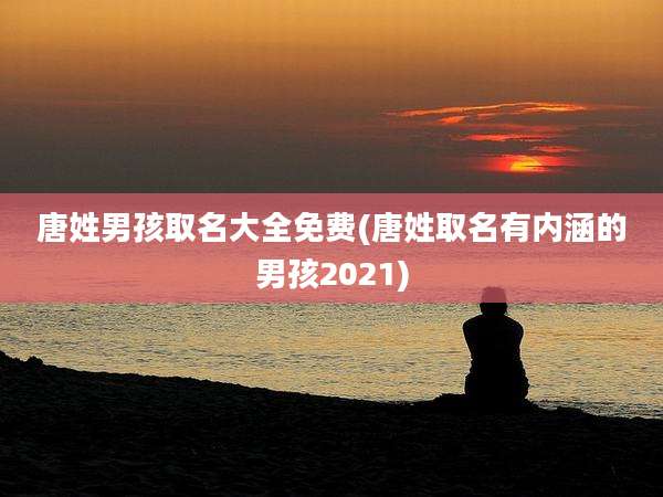 唐姓男孩取名大全免费(唐姓取名有内涵的男孩2021)