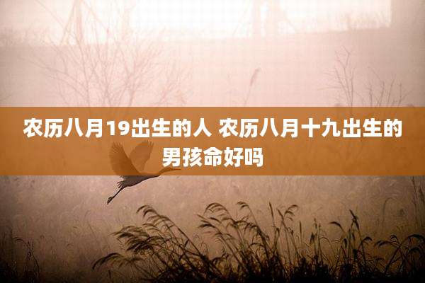 农历八月19出生的人 农历八月十九出生的男孩命好吗