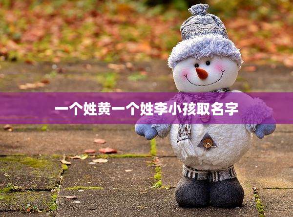 一个姓黄一个姓李小孩取名字