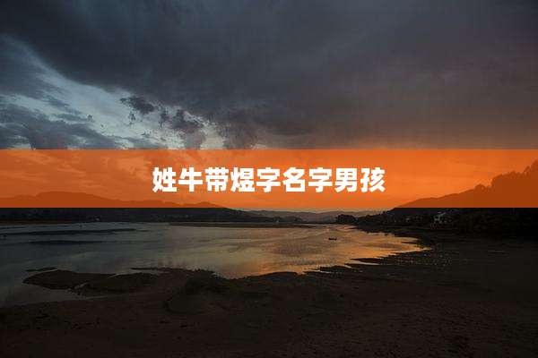 姓牛带煜字名字男孩