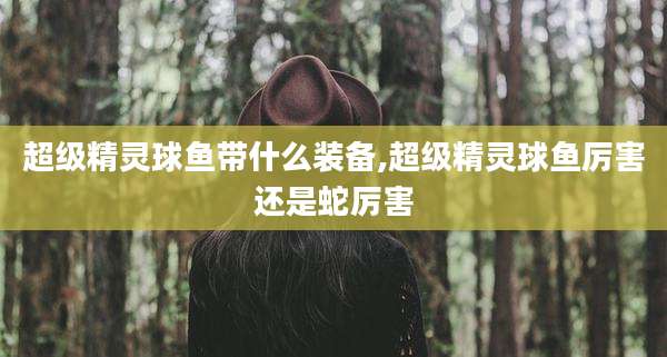 超级精灵球鱼带什么装备,超级精灵球鱼厉害还是蛇厉害