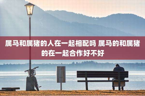 属马和属猪的人在一起相配吗 属马的和属猪的在一起合作好不好
