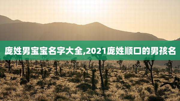 庞姓男宝宝名字大全,2021庞姓顺口的男孩名