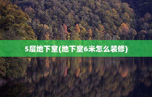 5层地下室(地下室6米怎么装修)
