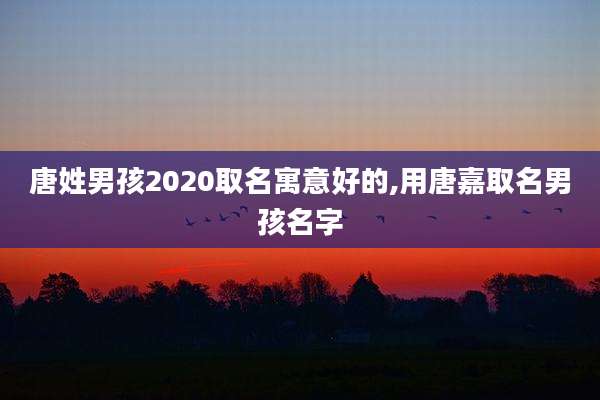 唐姓男孩2020取名寓意好的,用唐嘉取名男孩名字