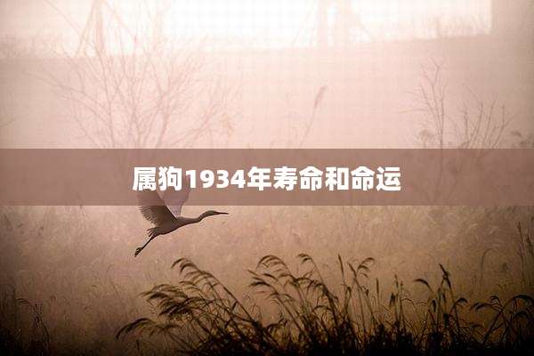 属狗1934年寿命和命运