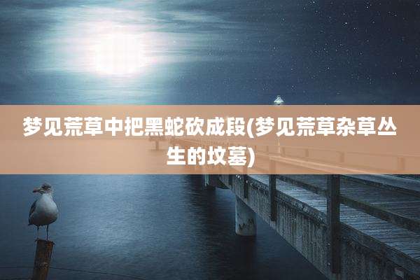 梦见荒草中把黑蛇砍成段(梦见荒草杂草丛生的坟墓)