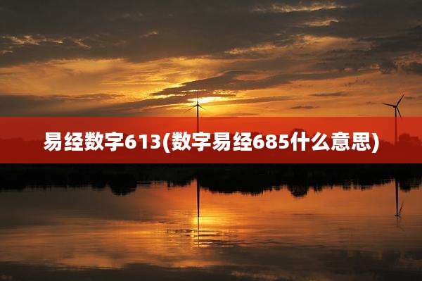 易经数字613(数字易经685什么意思)