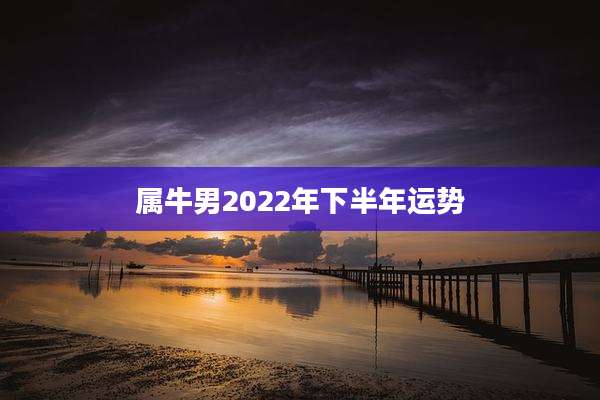 属牛男2022年下半年运势