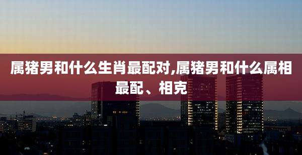 属猪男和什么生肖最配对,属猪男和什么属相最配、相克