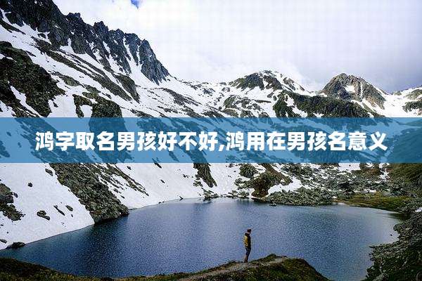 鸿字取名男孩好不好,鸿用在男孩名意义