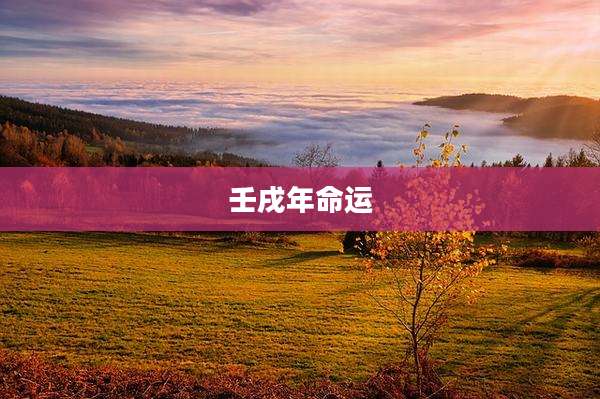 壬戌年命运