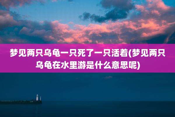梦见两只乌龟一只死了一只活着(梦见两只乌龟在水里游是什么意思呢)