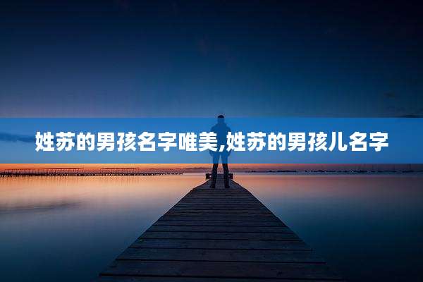 姓苏的男孩名字唯美,姓苏的男孩儿名字