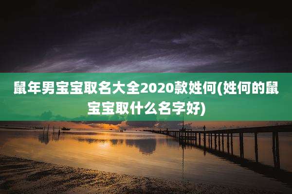 鼠年男宝宝取名大全2020款姓何(姓何的鼠宝宝取什么名字好)