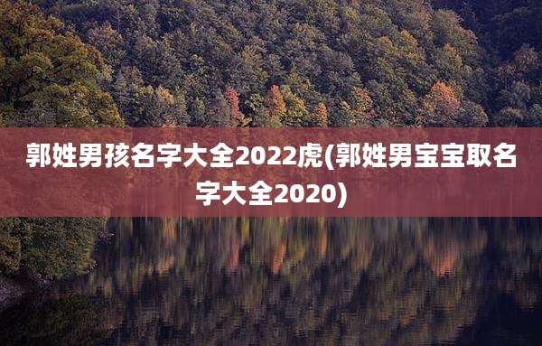 郭姓男孩名字大全2022虎(郭姓男宝宝取名字大全2020)